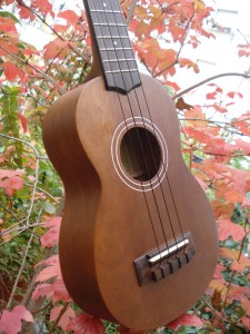 ukelele 007